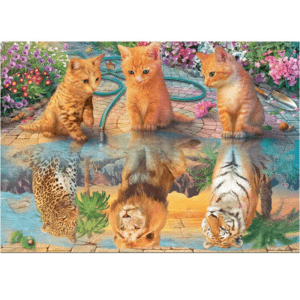 Kitten reflections - Image 1