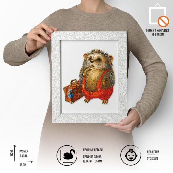 Travelling Hedgehog