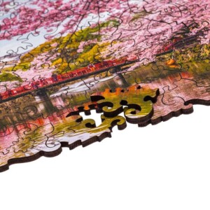 Sakura - Image 6