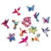 Elusive Colibri