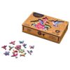 Elusive Colibri