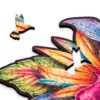 Elusive Colibri