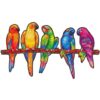 Playful Parrots 5 in 1