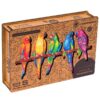 Playful Parrots 5 in 1