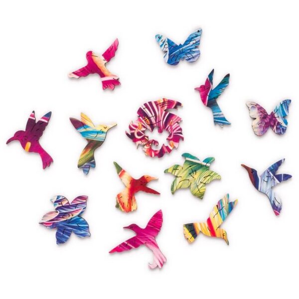 Elusive Colibri