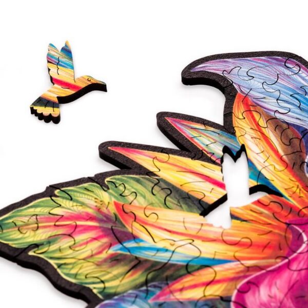 Elusive Colibri
