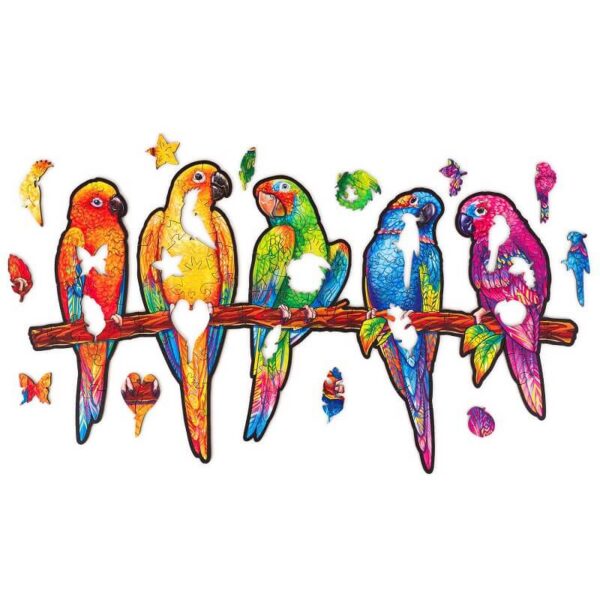 Playful Parrots 5 in 1