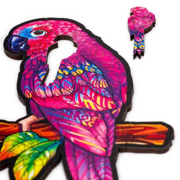 Playful Parrots 5 in 1
