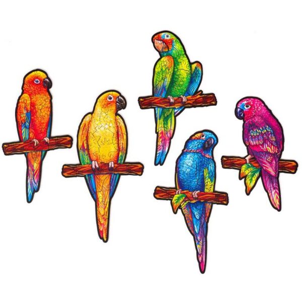 Playful Parrots 5 in 1
