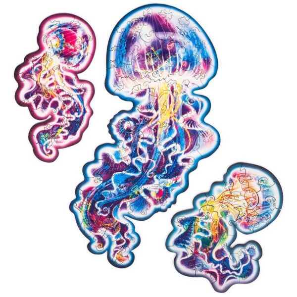 Wandering Jellyfish