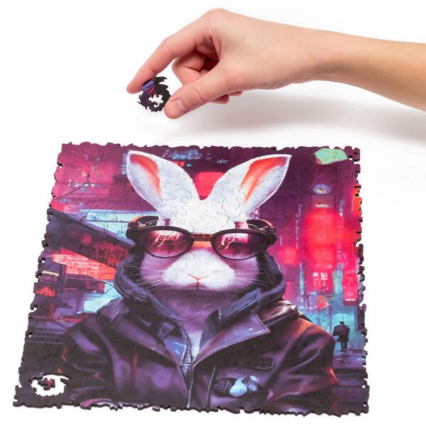 Cyber Rabbit