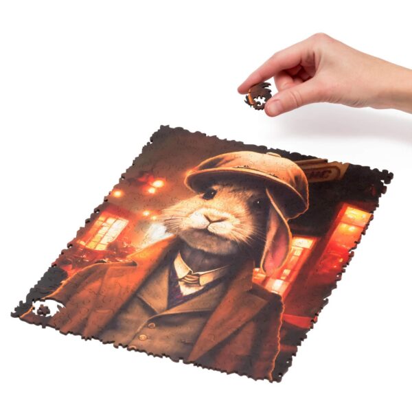 Thomas Rabbit