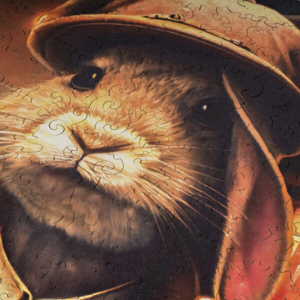 Thomas Rabbit