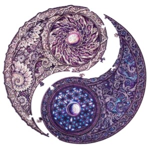 Mandala Overarching Opposites - Image 5