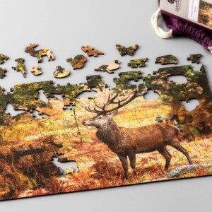 The Autumn Stag - Image 2