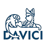 davici palapelit neliö logo