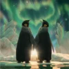 Penguin Aurora
