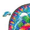 Iridescent Chameleon